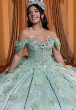 Vizcaya Quinceanera 4080006