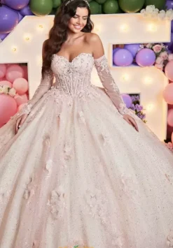 Vizcaya Quinceanera 89512