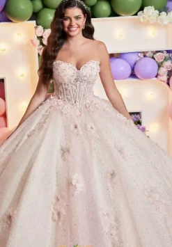 Vizcaya Quinceanera 89512