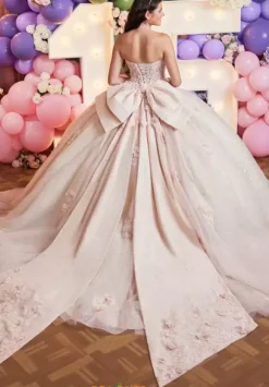 Vizcaya Quinceanera 89512