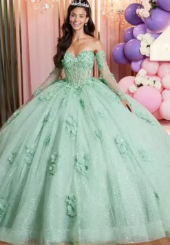 Vizcaya Quinceanera 89512