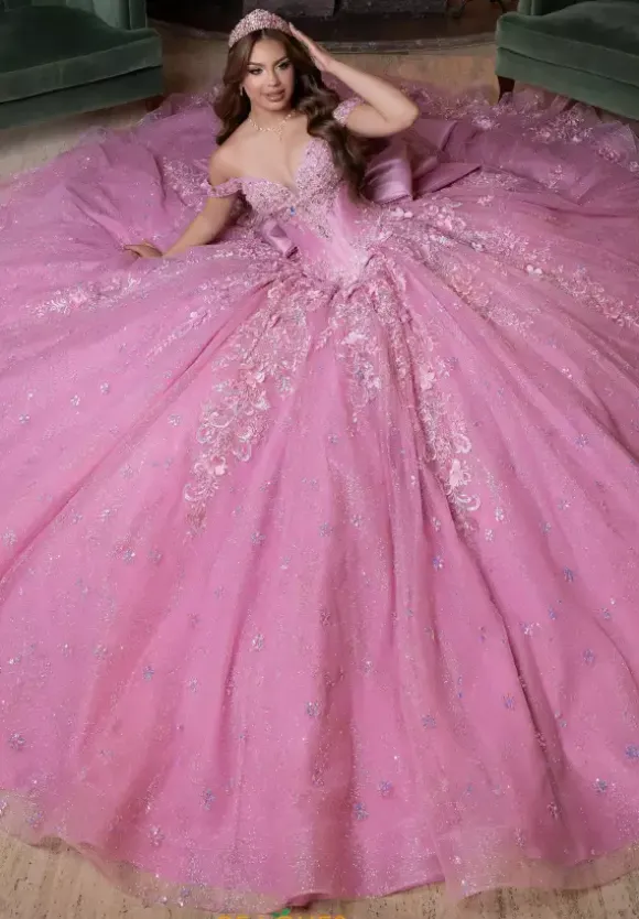 Vizcaya Quinceanera 4080029