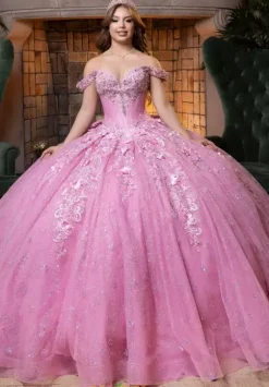 Vizcaya Quinceanera 4080029