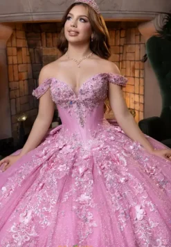 Vizcaya Quinceanera 4080029