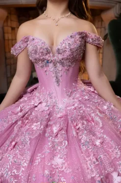 Vizcaya Quinceanera 4080029