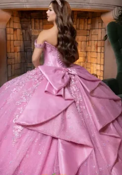 Vizcaya Quinceanera 4080029