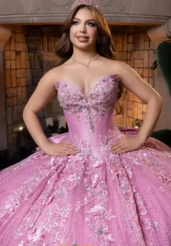 Vizcaya Quinceanera 4080029