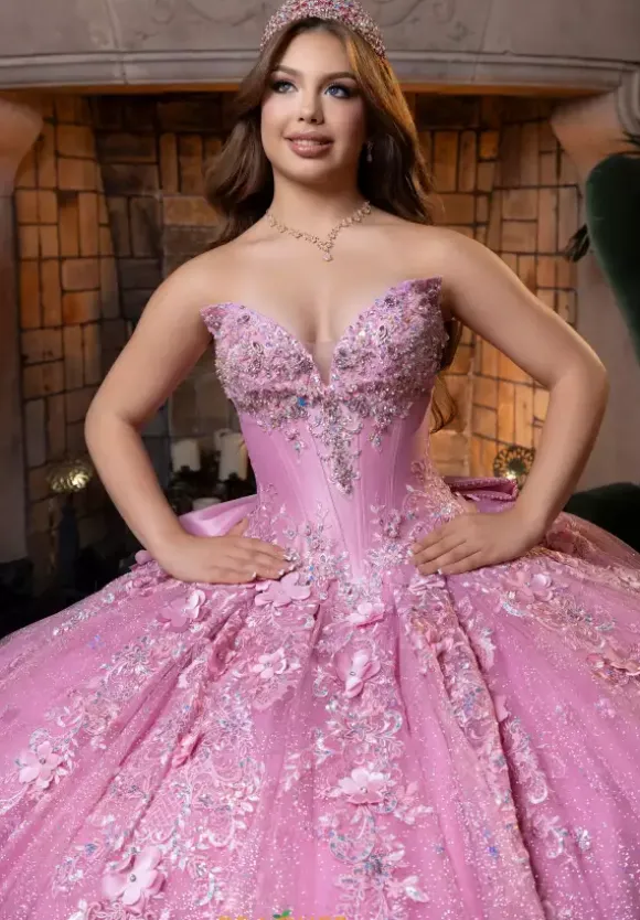 Vizcaya Quinceanera 4080029