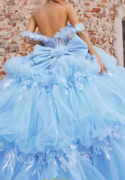 Vizcaya Quinceanera 89536