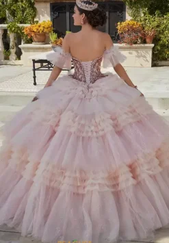 Vizcaya Quinceanera 34093