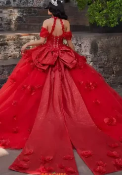 Vizcaya Quinceanera 89538