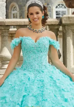 Vizcaya Quinceanera 89403