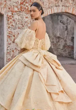 Vizcaya Quinceanera 89537