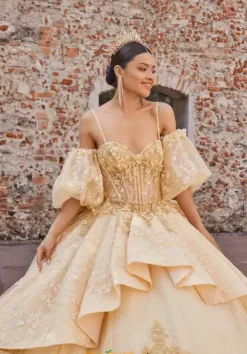Vizcaya Quinceanera 89537