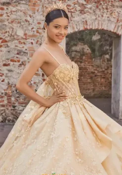 Vizcaya Quinceanera 89537