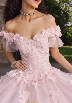 Vizcaya Quinceanera 89549