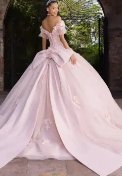Vizcaya Quinceanera 89549