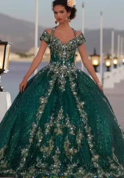 Vizcaya Quinceanera 89351