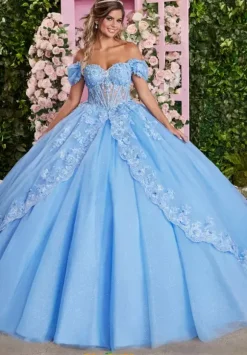 Vizcaya Quinceanera 89509