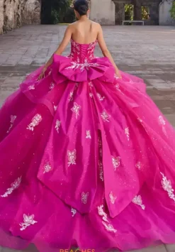 Vizcaya Quinceanera 89548
