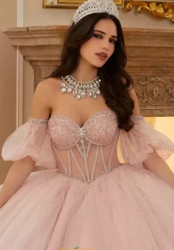 Vizcaya Quinceanera 89479