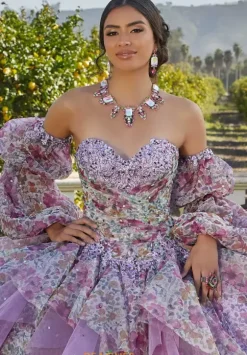 Vizcaya Quinceanera 89423