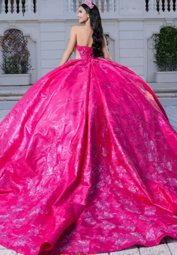 Vizcaya Quinceanera 4080031