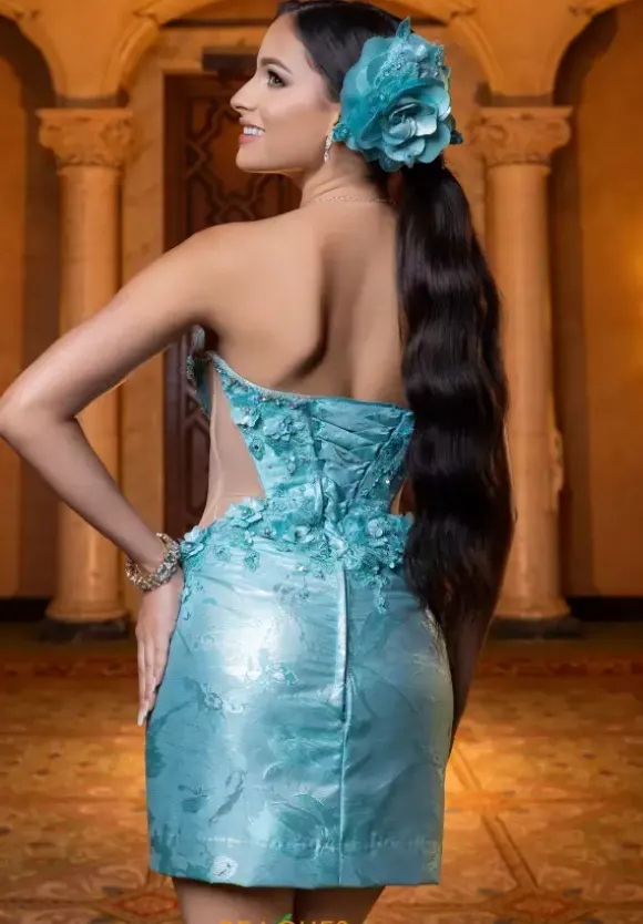 Vizcaya Quinceanera 4080031