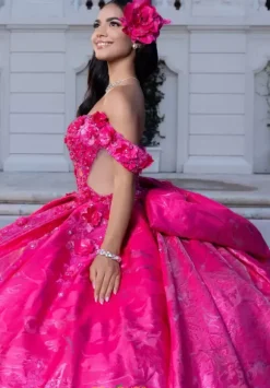 Vizcaya Quinceanera 4080031