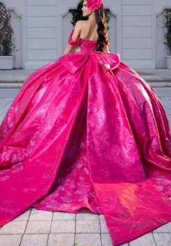 Vizcaya Quinceanera 4080031