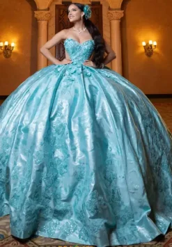 Vizcaya Quinceanera 4080031