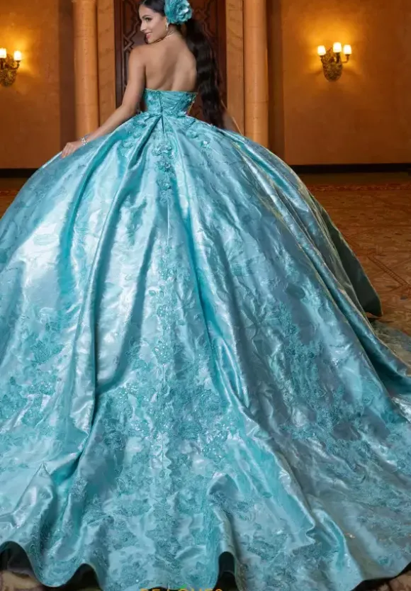 Vizcaya Quinceanera 4080031