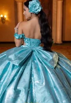Vizcaya Quinceanera 4080031