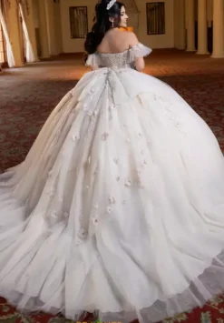 Vizcaya Quinceanera 4080023
