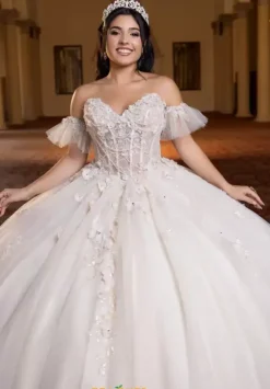 Vizcaya Quinceanera 4080023