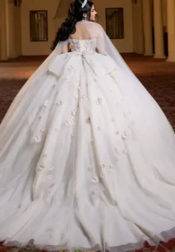 Vizcaya Quinceanera 4080023