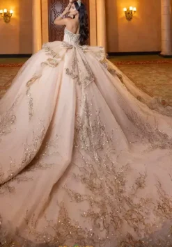 Vizcaya Quinceanera 4080003