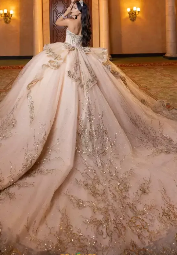 Vizcaya Quinceanera 4080003