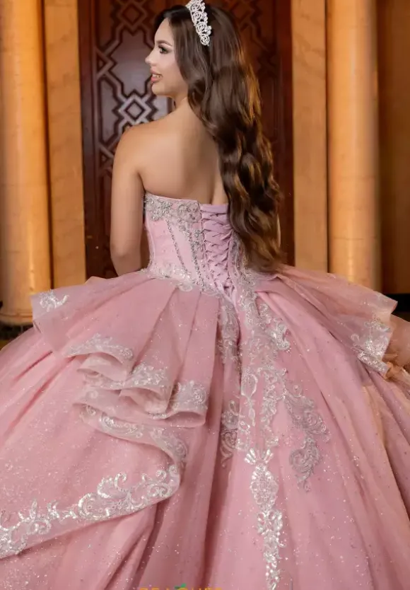 Vizcaya Quinceanera 4080003