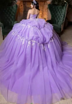 Vizcaya Quinceanera 4080014