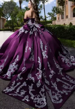 Vizcaya Quinceanera 4080009