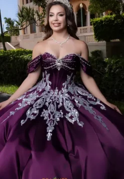 Vizcaya Quinceanera 4080009