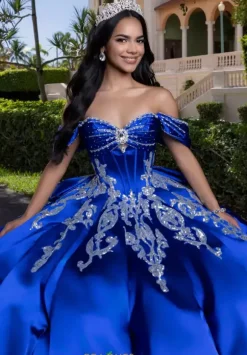 Vizcaya Quinceanera 4080009
