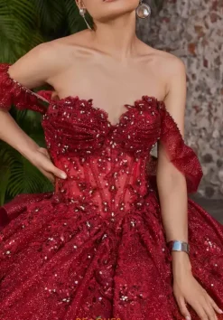 Vizcaya Quinceanera 89555