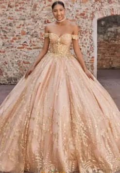 Vizcaya Quinceanera 89557