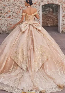 Vizcaya Quinceanera 89557
