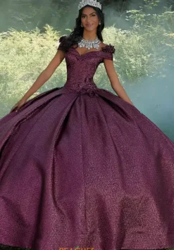 Vizcaya Quinceanera 60196