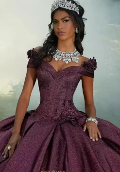 Vizcaya Quinceanera 60196