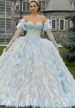 Vizcaya Quinceanera 34082