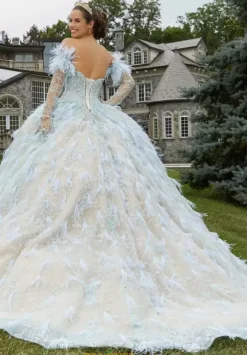 Vizcaya Quinceanera 34082